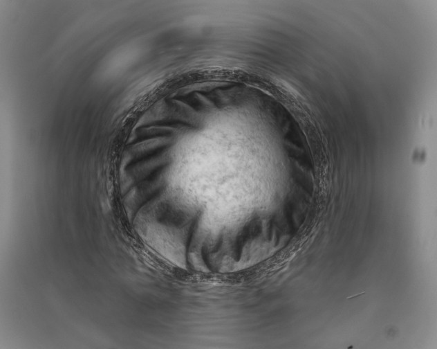 X0000090890774200708171705