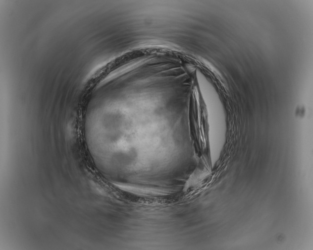 X0000090890775200708171705