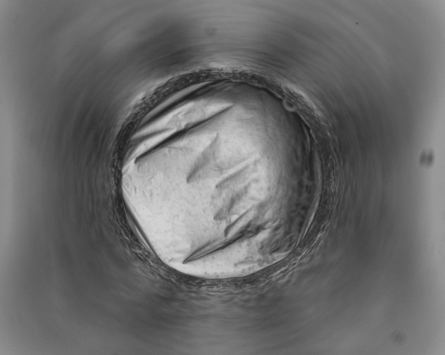 X0000090890776200708171705