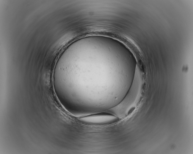 X0000090890777200708171705