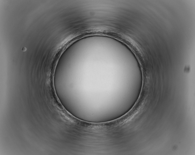 X0000090890778200708171705