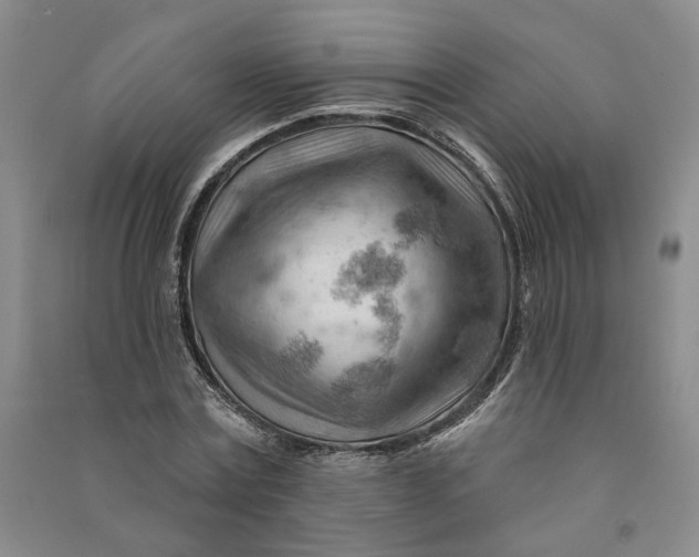 X0000090890779200708171705