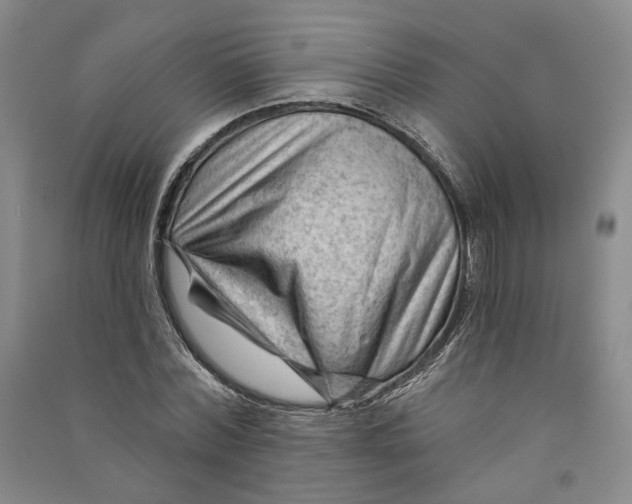 X0000090890780200708171705