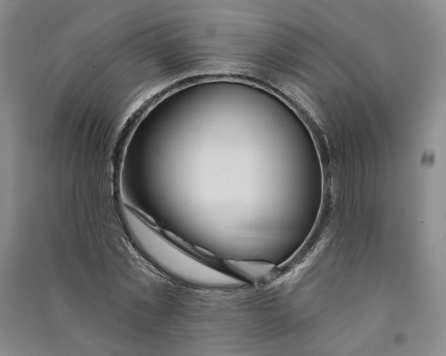 X0000090890781200708171705