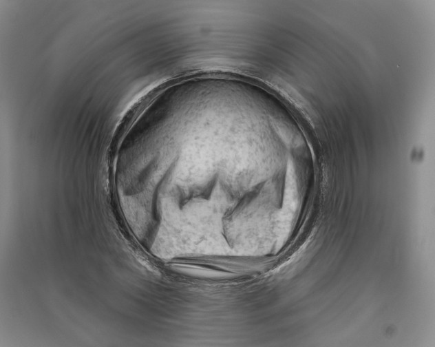 X0000090890782200708171705