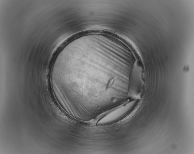 X0000090890783200708171705