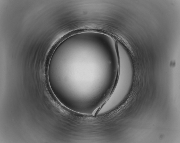 X0000090890784200708171705