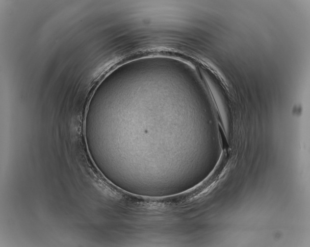 X0000090890785200708171705