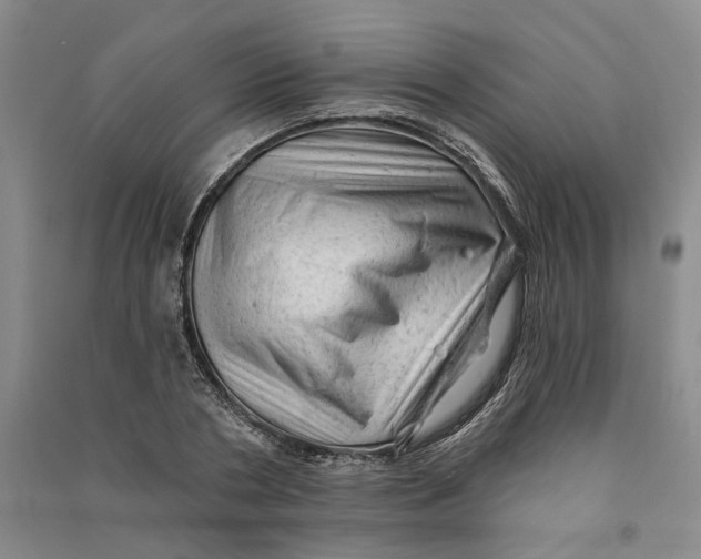 X0000090890786200708171705