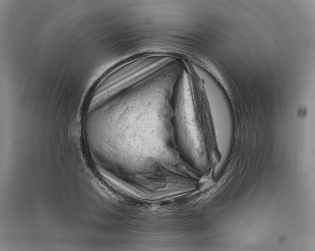 X0000090890787200708171705