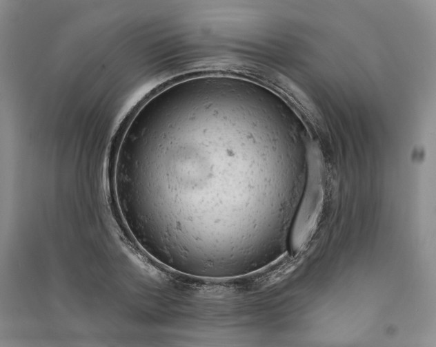 X0000090890788200708171705