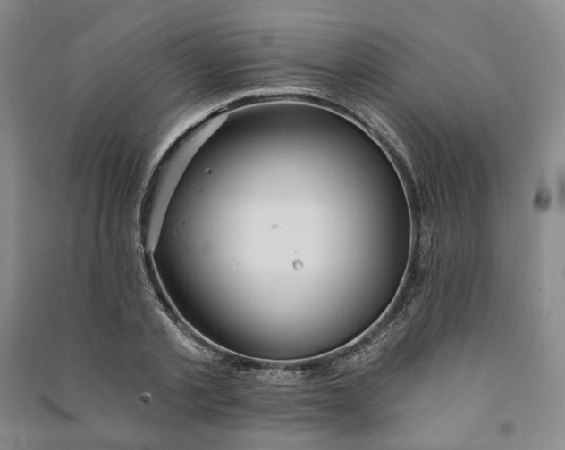 X0000090890789200708171705