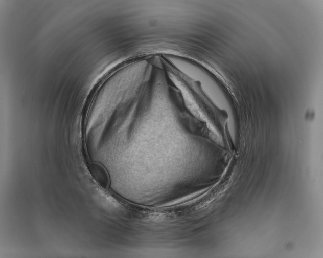 X0000090890790200708171705