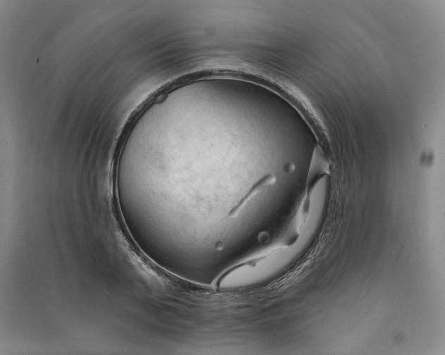 X0000090890791200708171705