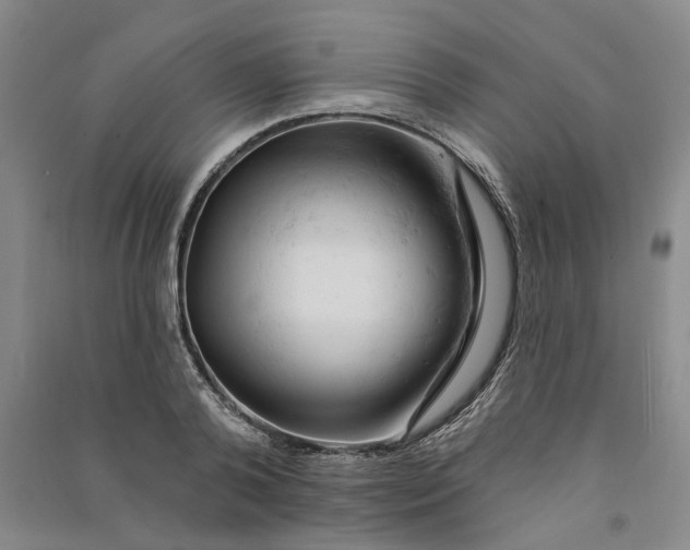 X0000090890792200708171705