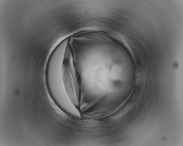 X0000090890795200708171704