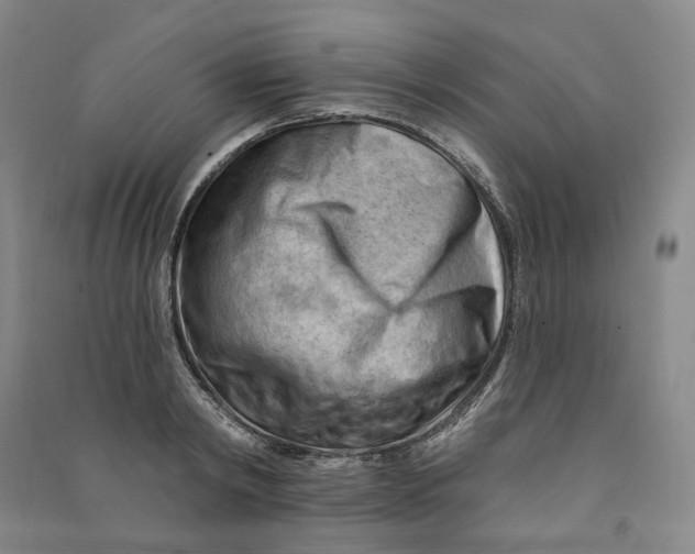 X0000090890798200708171704