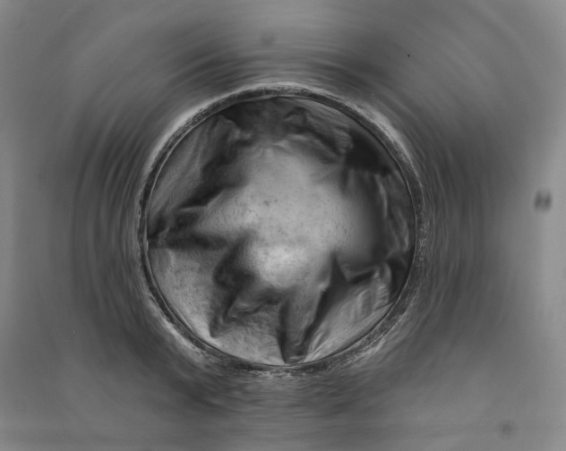 X0000090890799200708171704