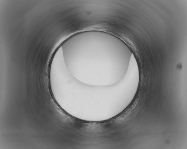 X0000090890800200708171704