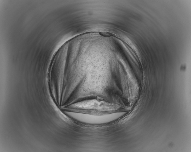 X0000090890803200708171704