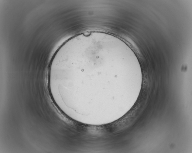 X0000090890804200708171704