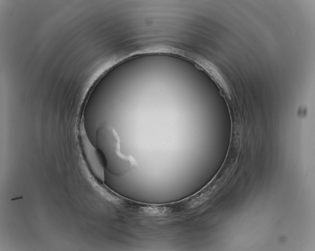 X0000090890805200708171704