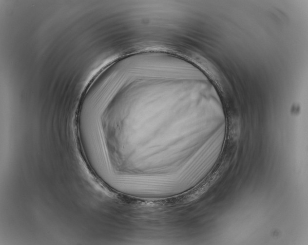 X0000090890806200708171704