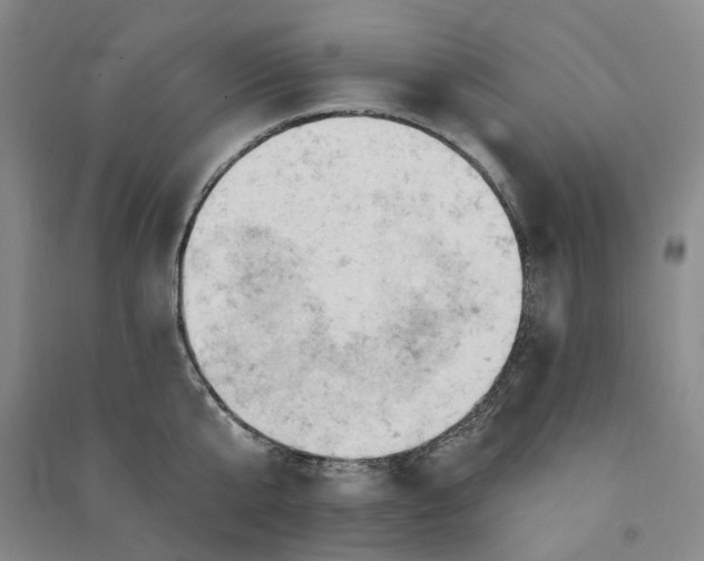 X0000090890807200708171704