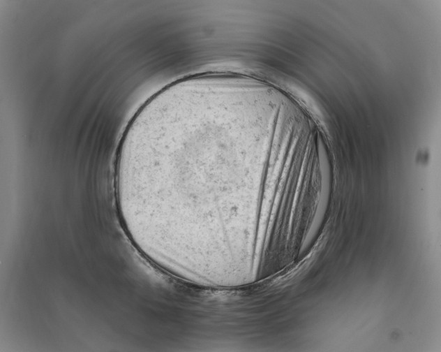 X0000090890808200708171704