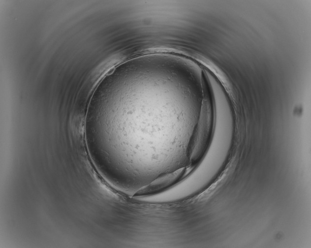 X0000090890809200708171704