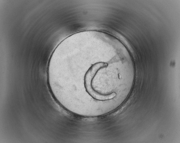 X0000090890810200708171704