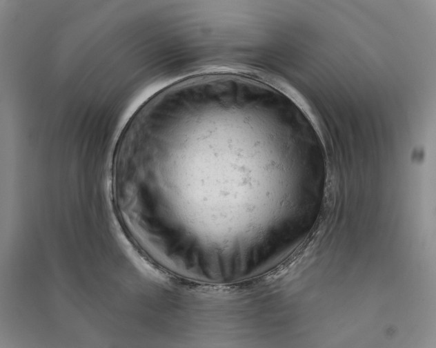 X0000090890811200708171704