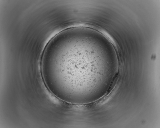 X0000090890813200708171704