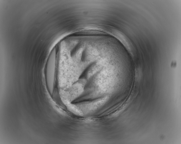 X0000090890814200708171704