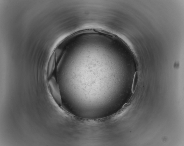 X0000090890815200708171704