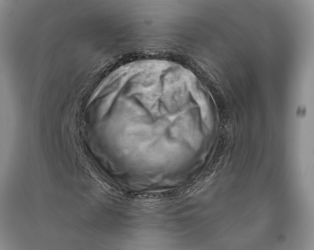 X0000090890817200708171704