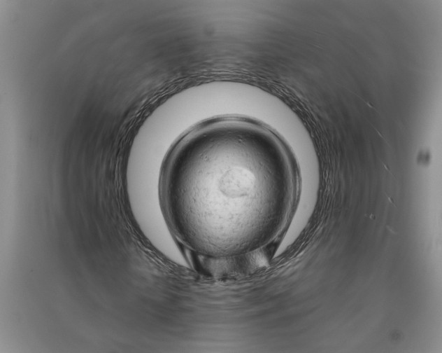 X0000090890818200708171704