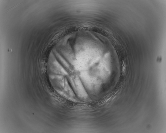 X0000090890819200708171704