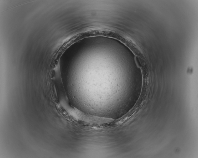 X0000090890822200708171704