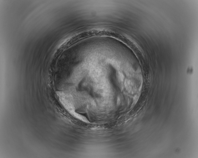 X0000090890823200708171704