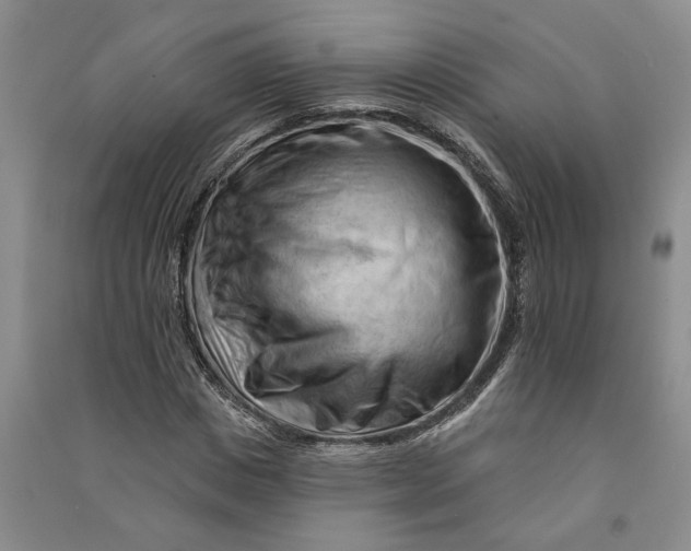 X0000090890825200708171704