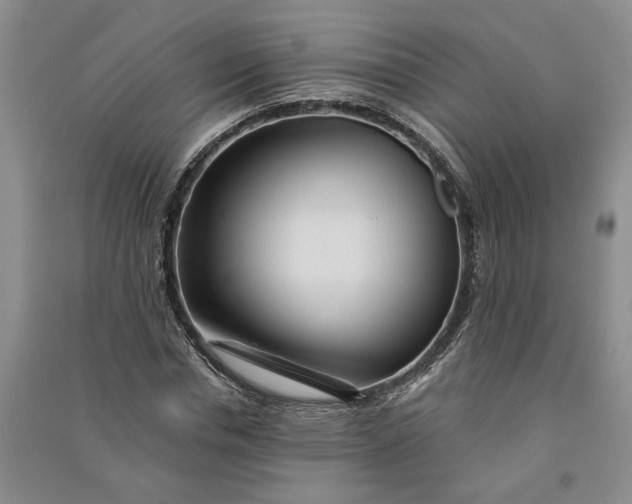 X0000090890826200708171704