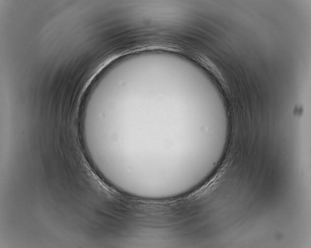 X0000090890828200708171704