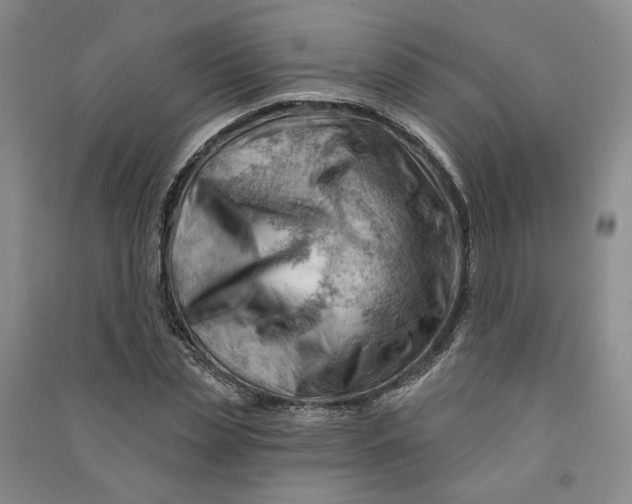 X0000090890829200708171704