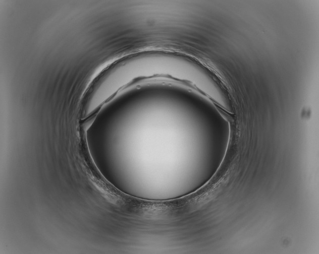 X0000090890830200708171704