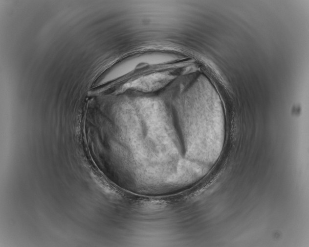 X0000090890833200708171704