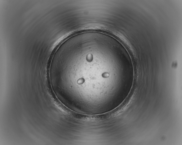 X0000090890834200708171704