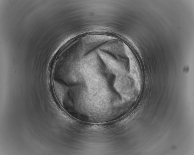 X0000090890835200708171704