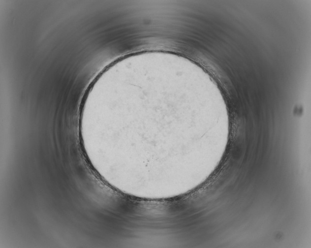 X0000090890836200708171704