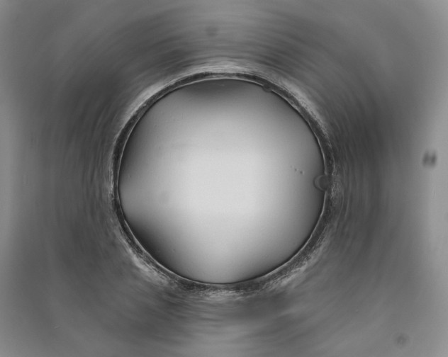 X0000090890837200708171704